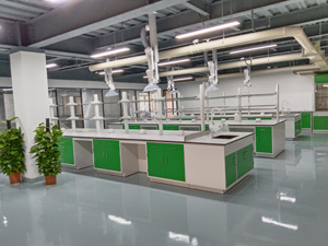 化學行業(yè)實驗室家具案例